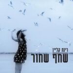 שחף שחור
